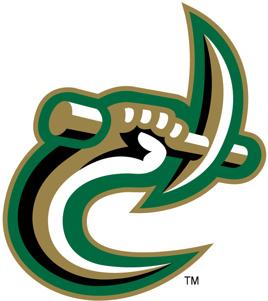 Charlotte 49ers 1998-Pres Secondary Logo iron on transfers for T-shirts
